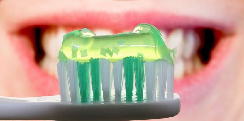 aloe vera plant for receding gums
